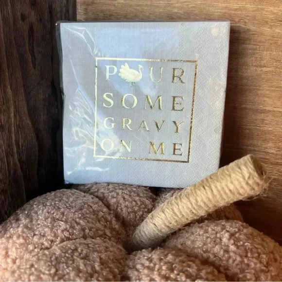 NEW 40 Count 3 ply beverage napkins - POUR SOME GRAVY ON ME! - Picture 5 of 6